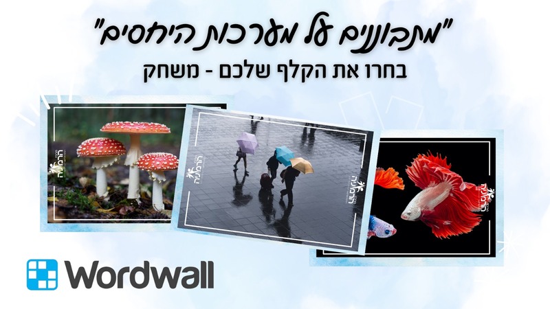 מתבוננים על מערכת היחסים 3 800